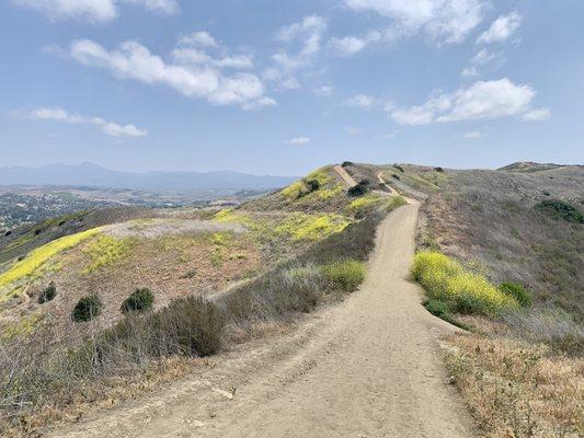 Mid hike views (May 2021)