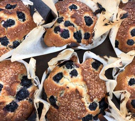 Fresh blueberry muffins made daily