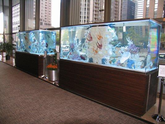 (2) 870 Gallon Saltwater Aquariums