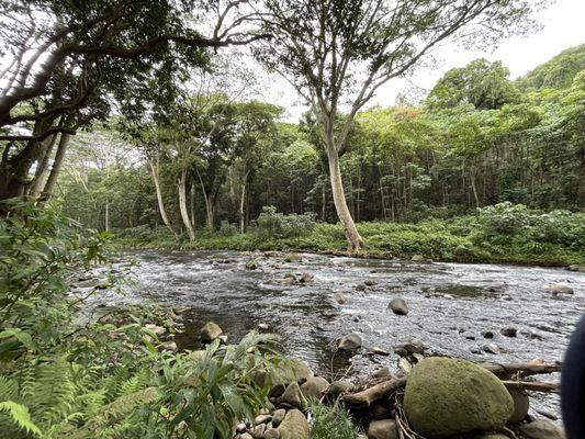 Beautiful Wailua River