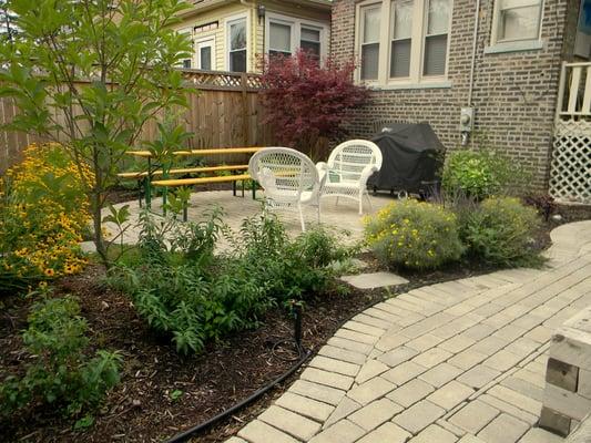 A Chicago backyard becomes a woodsy getaway.