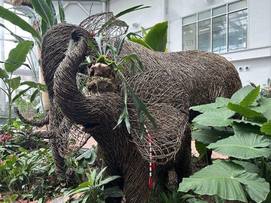 Elephant art made from plants