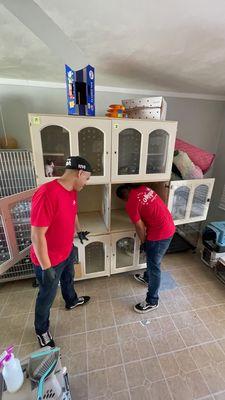 The MOM El Centro team volunteers with Too Cute Kitten Rescue.