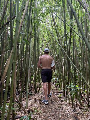 Bamboo hike at start of trail