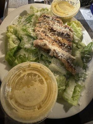 Grilled Chicken Caesar Salad