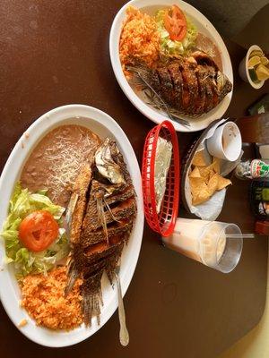 Mojarra frita/ tilapia