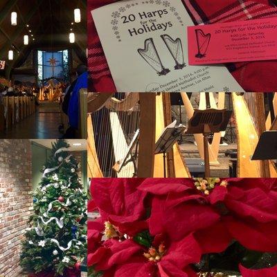 20 Harps for the Holidays- such a beautiful performance