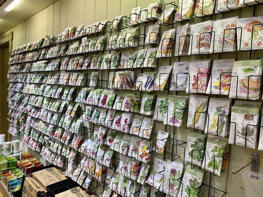 Seeds!  Start Your Own Garden!