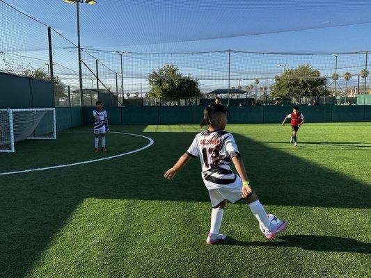 Youth soccer league