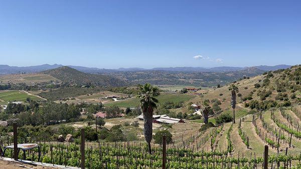 View of Cordrano Winery