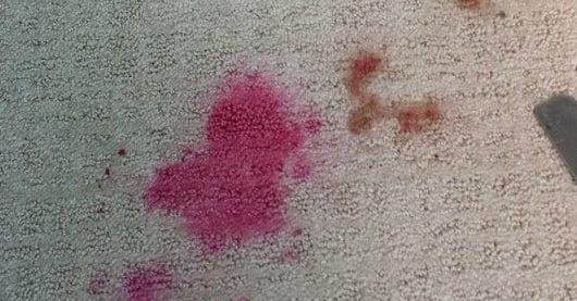 Before & After Results - by Heaven's Best Carpet & Upholstery Cleaning - Warrenton - Virginia