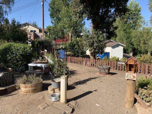 Peaceful garden, and water for dogs