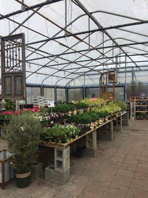 Four Seasons Nursery