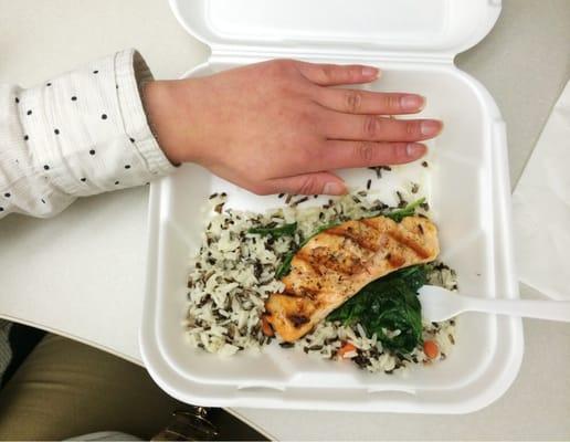 Small lunch portion (hand to scale, rice spread out), I was still hungry after (and sad)