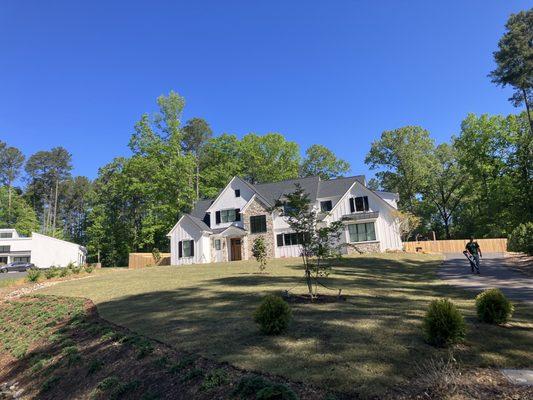 Zenith Zoysia sod instal