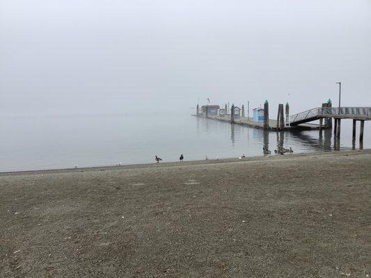 Beach and dock on a foggy morning, Lake Coeur d Alene.