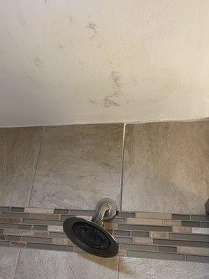 Black mold over the shower!!