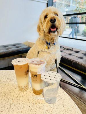 Tiramisu tea with cheese foam, original black tea with golden boba