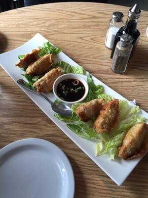 Fried potstickers