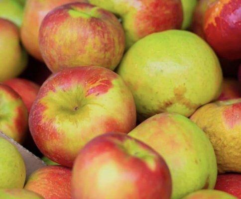 Best apples ever at Eddy's Fruit Farm. Picked daily.