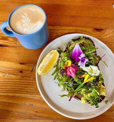 Vanilla oatmilk latte and avocado toast