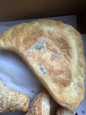 Cherry Empanada with MOLD!!!!