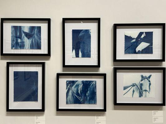 Cyanotypes