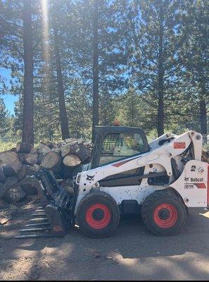 Bobcat S770 skid-steer loader equipped, Tree Pruning
Stump Grinding
Arborist Services
Emergency Tree Removal
Tree Cutting
Tree Care