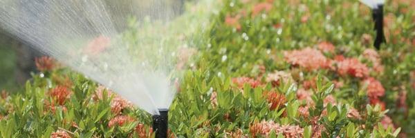 JB Irrigation & Services