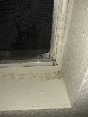 BEWARE future residents. This unit was not properly cleaned according to mold removal standards. Management just cares about saving $!