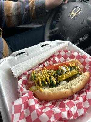 Chicago dog special