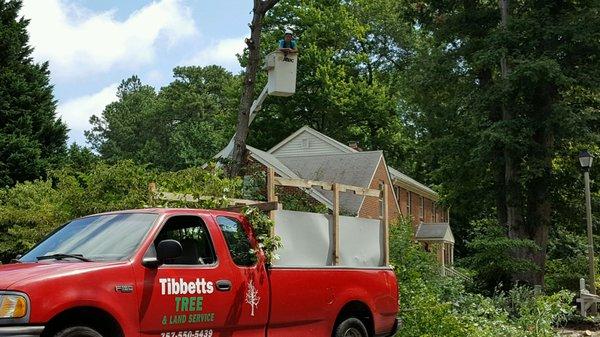 Tibbetts Tree & Land Service