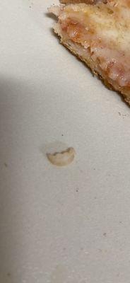 Fingernail found in pizza