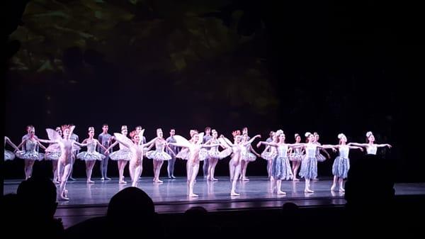 Miami City Ballet