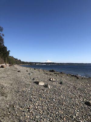 Beach walk with Mt. Rainier peaking out!