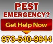 24 Hour Emergency Pest Control Extermination Service NJ