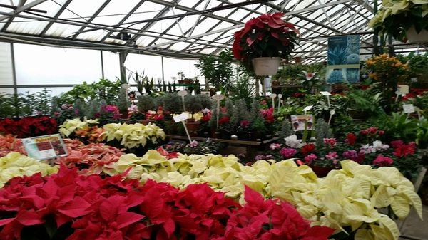 Strader's Garden Centers