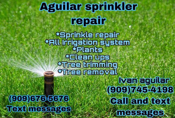 Aguilar Sprinkles Repair