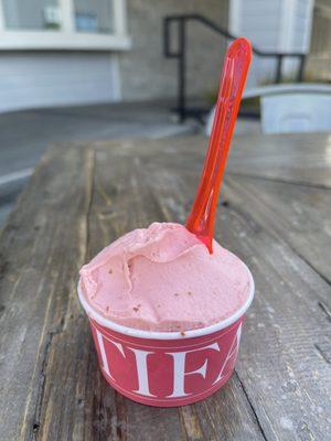 Strawberry Sorbetto