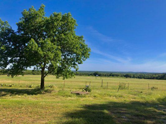 Havenwood Nature School is located on 15 beautiful acres in the Central Texas Hill Country.