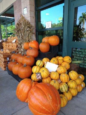 Pumpkins are here