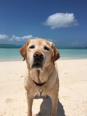 Lucy and I traveled on AirGate Aviation to the Bahamas.