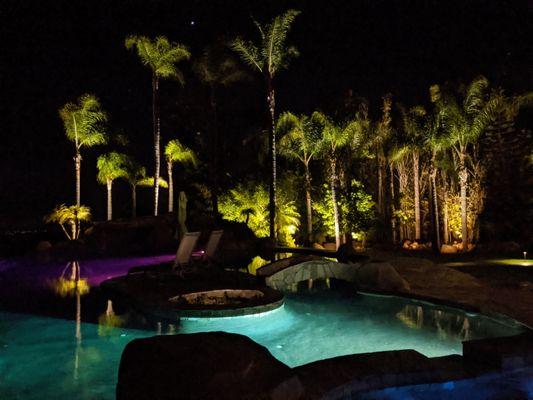 Expansive view of up lit mature palms in background and pool in foreground