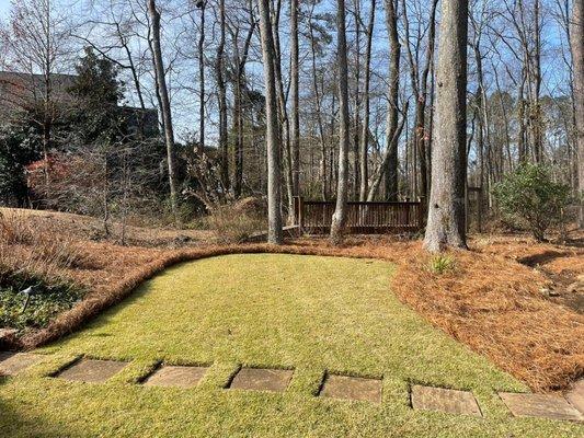 Beautiful Alpharetta Long needle pine straw install