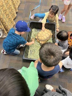 Kids petting circle for reptiles