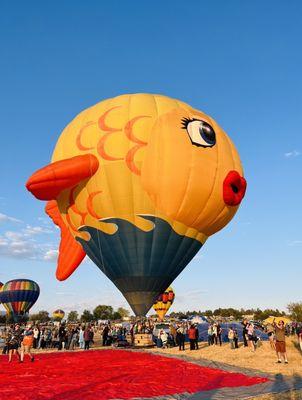 "Sushi" - cutest air balloon 2024