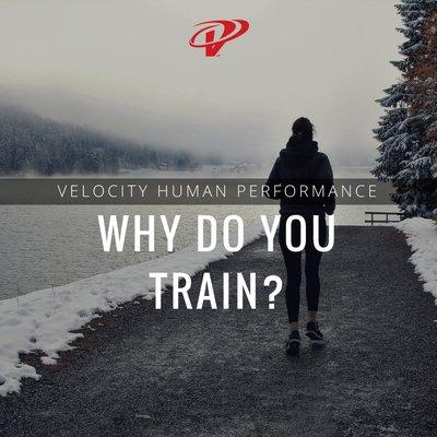 Why do you train