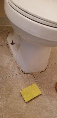 Toilet when my daughter just moved in. Its suppose to be move in ready lol‍ Do you think this needs to be scrubbed and caulked?!