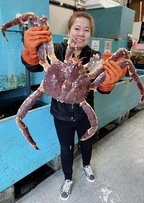 I got king crab today. It so big around 12 pounds.  I love it.