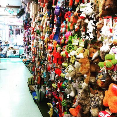 Assortment of dog toys